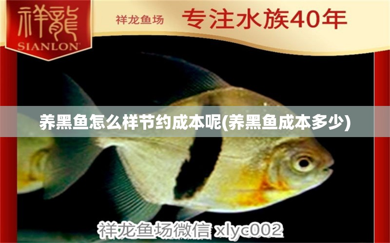 養(yǎng)黑魚怎么樣節(jié)約成本呢(養(yǎng)黑魚成本多少) 溫控設備