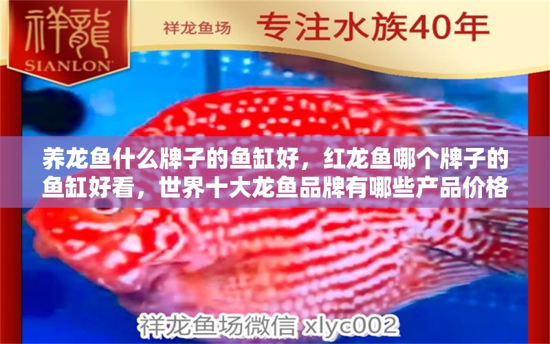 養(yǎng)龍魚(yú)什么牌子的魚(yú)缸好，紅龍魚(yú)哪個(gè)牌子的魚(yú)缸好看，世界十大龍魚(yú)品牌有哪些產(chǎn)品價(jià)格介紹 星點(diǎn)金龍魚(yú) 第1張