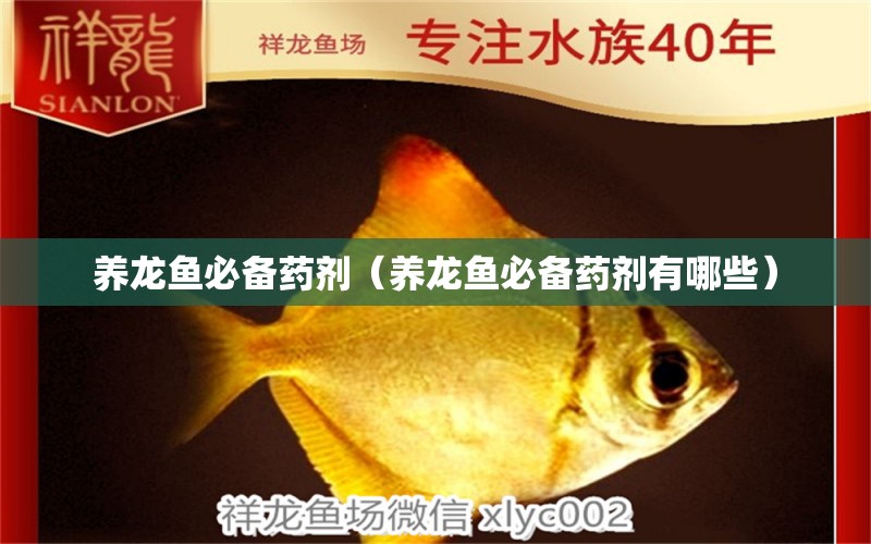 養(yǎng)龍魚必備藥劑（養(yǎng)龍魚必備藥劑有哪些） 龍魚疾病與治療