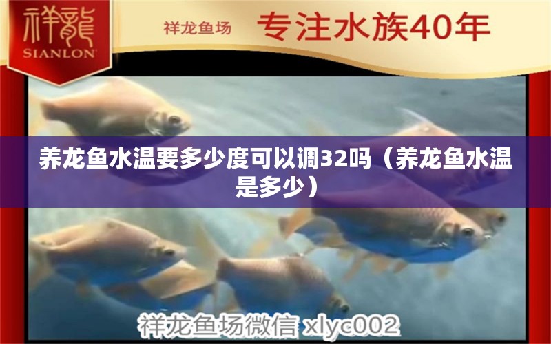 養(yǎng)龍魚水溫要多少度可以調(diào)32嗎（養(yǎng)龍魚水溫是多少） 祥龍水族醫(yī)院