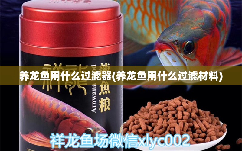 養(yǎng)龍魚(yú)用什么過(guò)濾器(養(yǎng)龍魚(yú)用什么過(guò)濾材料) 祥龍金禾金龍魚(yú)