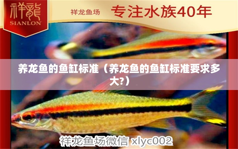 養(yǎng)龍魚的魚缸標準（養(yǎng)龍魚的魚缸標準要求多大?）