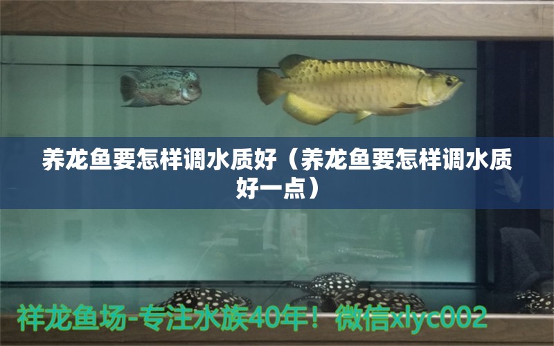 養(yǎng)龍魚要怎樣調(diào)水質(zhì)好（養(yǎng)龍魚要怎樣調(diào)水質(zhì)好一點(diǎn)） 龍魚疾病與治療