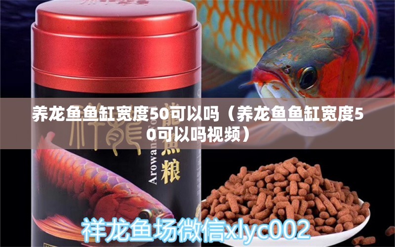 養(yǎng)龍魚魚缸寬度50可以嗎（養(yǎng)龍魚魚缸寬度50可以嗎視頻）