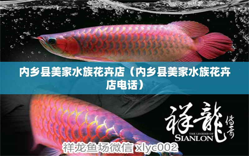 內(nèi)鄉(xiāng)縣美家水族花卉店（內(nèi)鄉(xiāng)縣美家水族花卉店電話） 全國水族館企業(yè)名錄