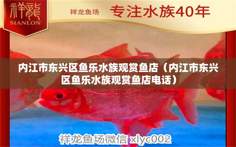 內(nèi)江市東興區(qū)魚樂水族觀賞魚店（內(nèi)江市東興區(qū)魚樂水族觀賞魚店電話）