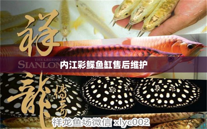 內(nèi)江彩鰈魚缸售后維護(hù)