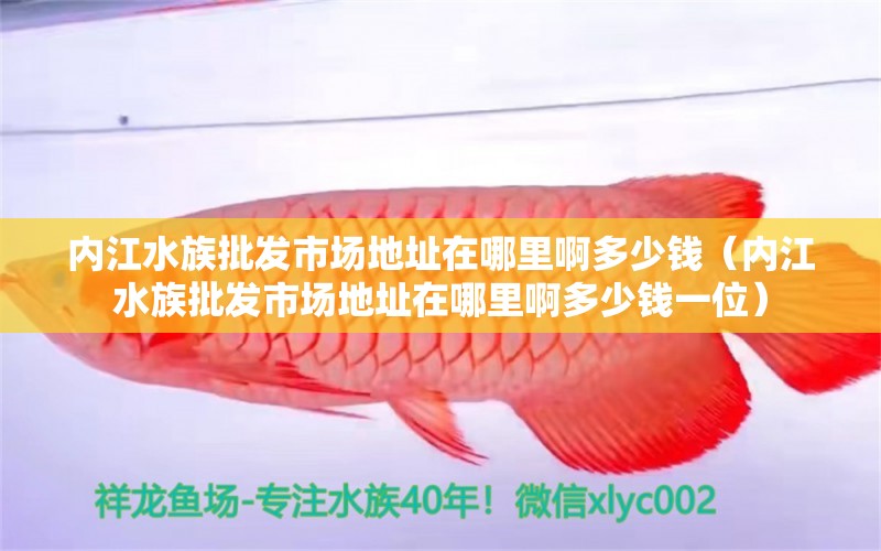 內(nèi)江水族批發(fā)市場地址在哪里啊多少錢（內(nèi)江水族批發(fā)市場地址在哪里啊多少錢一位）