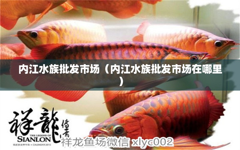 內(nèi)江水族批發(fā)市場(chǎng)（內(nèi)江水族批發(fā)市場(chǎng)在哪里）