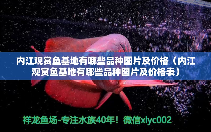 內(nèi)江觀賞魚基地有哪些品種圖片及價格（內(nèi)江觀賞魚基地有哪些品種圖片及價格表）