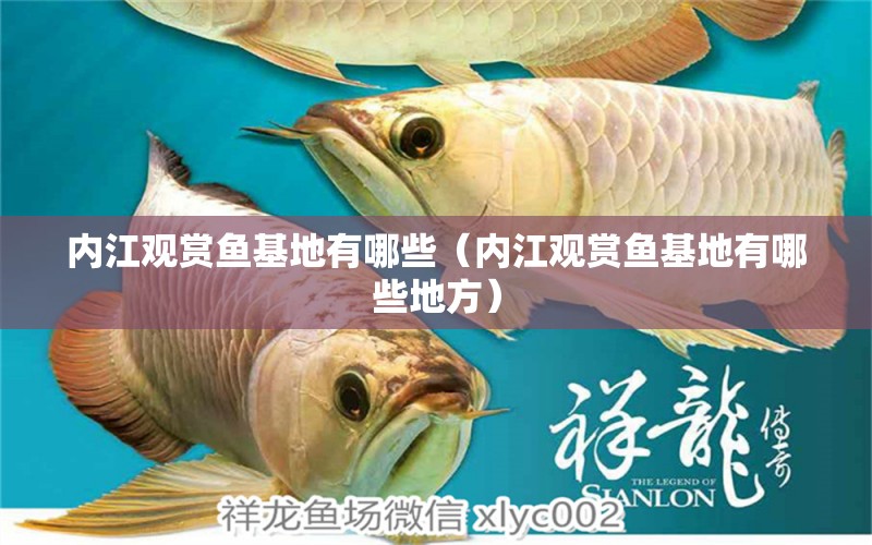 內(nèi)江觀賞魚(yú)基地有哪些（內(nèi)江觀賞魚(yú)基地有哪些地方） 龍魚(yú)專(zhuān)用燈