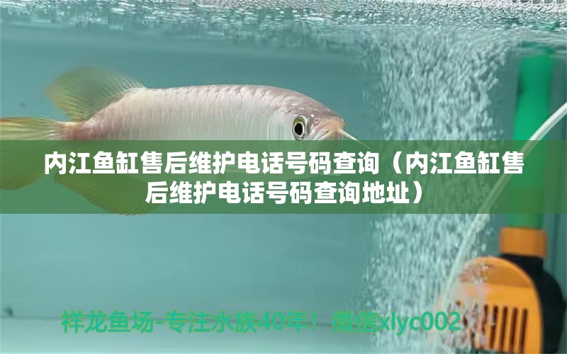 內(nèi)江魚缸售后維護(hù)電話號(hào)碼查詢（內(nèi)江魚缸售后維護(hù)電話號(hào)碼查詢地址） 其他品牌魚缸