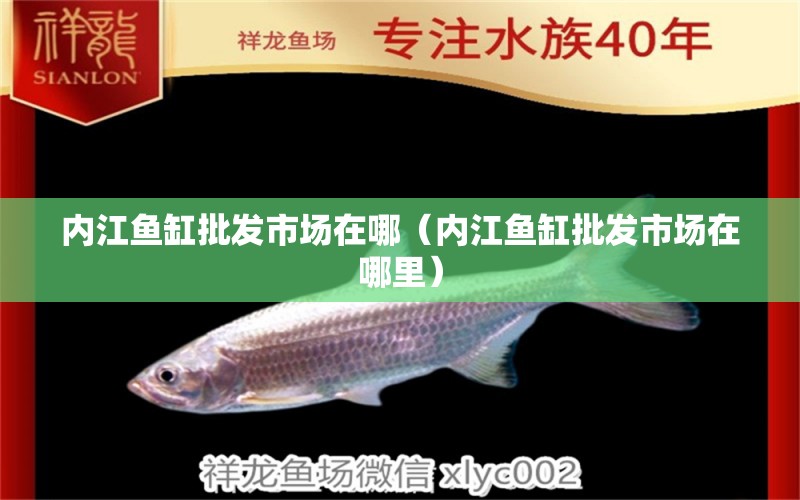 內(nèi)江魚缸批發(fā)市場在哪（內(nèi)江魚缸批發(fā)市場在哪里）