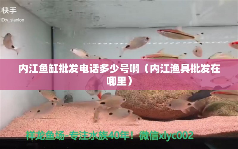 內(nèi)江魚缸批發(fā)電話多少號?。▋?nèi)江漁具批發(fā)在哪里）