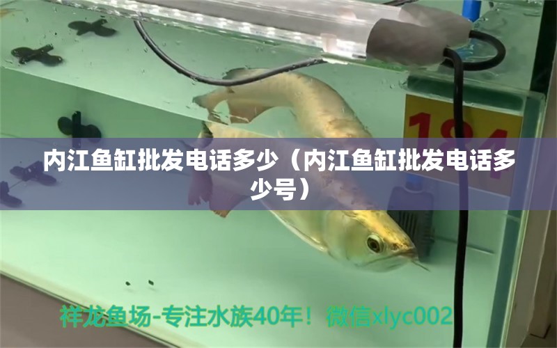 內(nèi)江魚(yú)缸批發(fā)電話多少（內(nèi)江魚(yú)缸批發(fā)電話多少號(hào)） 龍魚(yú)之家