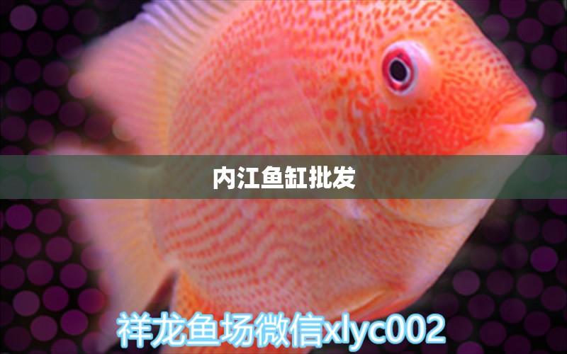 內(nèi)江魚缸批發(fā) 其他品牌魚缸