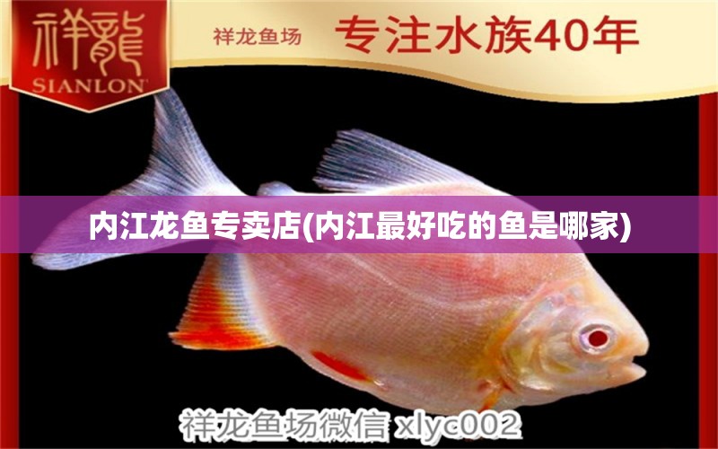 內(nèi)江龍魚專賣店(內(nèi)江最好吃的魚是哪家) 白子紅龍魚