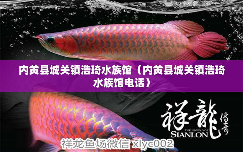 內(nèi)黃縣城關(guān)鎮(zhèn)浩琦水族館（內(nèi)黃縣城關(guān)鎮(zhèn)浩琦水族館電話）