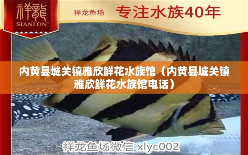 內(nèi)黃縣城關(guān)鎮(zhèn)雅欣鮮花水族館（內(nèi)黃縣城關(guān)鎮(zhèn)雅欣鮮花水族館電話）