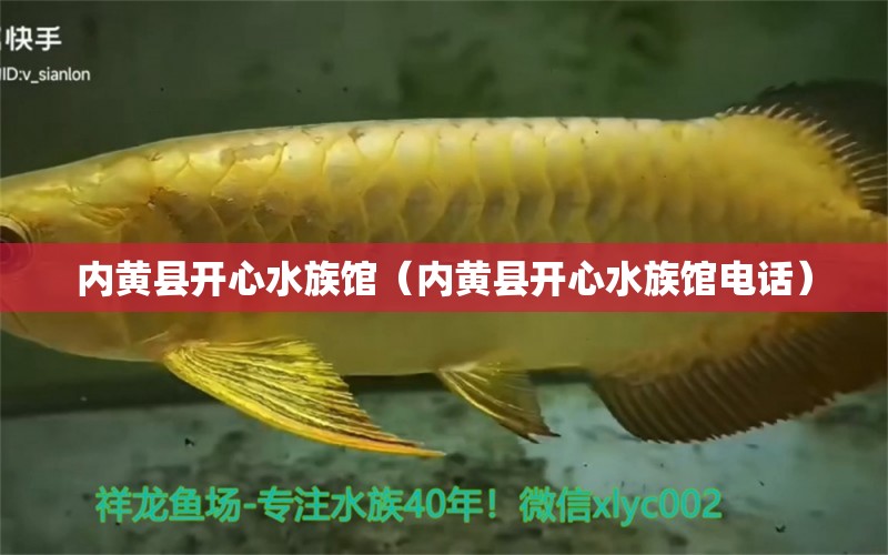 內(nèi)黃縣開心水族館（內(nèi)黃縣開心水族館電話） 全國水族館企業(yè)名錄