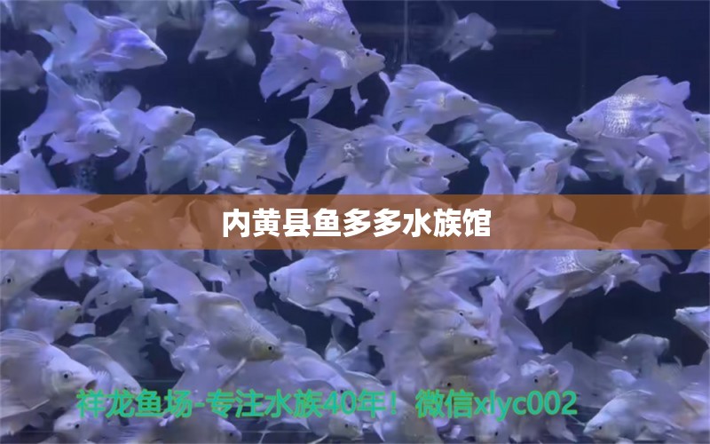 內(nèi)黃縣魚多多水族館 全國(guó)水族館企業(yè)名錄