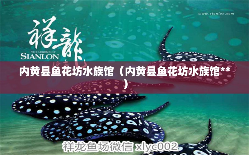 內(nèi)黃縣魚花坊水族館（內(nèi)黃縣魚花坊水族館**） 全國水族館企業(yè)名錄