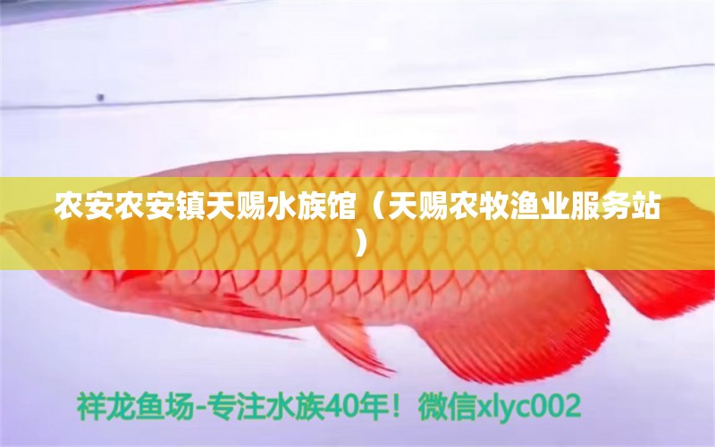 農(nóng)安農(nóng)安鎮(zhèn)天賜水族館（天賜農(nóng)牧漁業(yè)服務站）