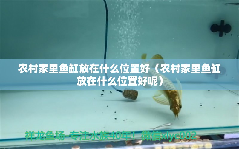 農(nóng)村家里魚缸放在什么位置好（農(nóng)村家里魚缸放在什么位置好呢）