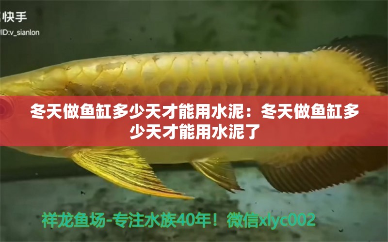 冬天做魚缸多少天才能用水泥：冬天做魚缸多少天才能用水泥了