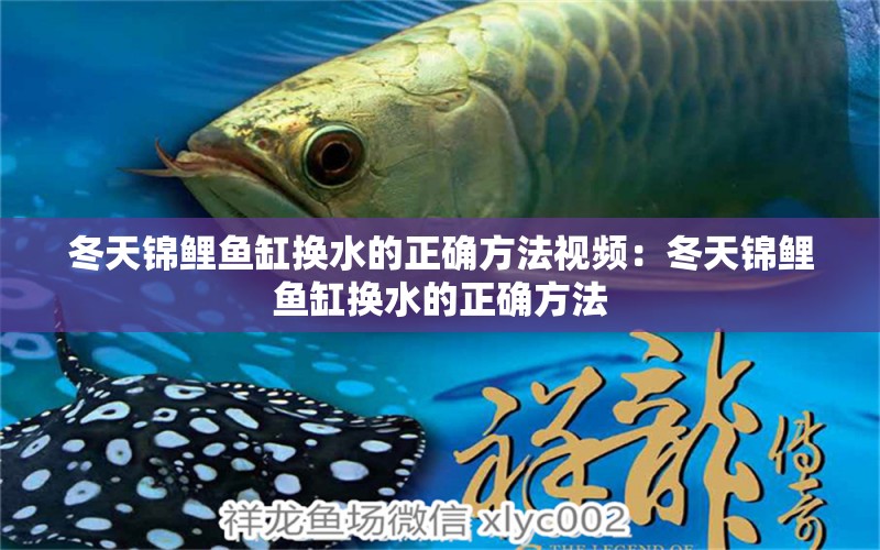 冬天錦鯉魚缸換水的正確方法視頻：冬天錦鯉魚缸換水的正確方法 魚缸百科 第2張