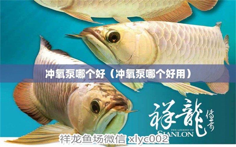 沖氧泵哪個(gè)好（沖氧泵哪個(gè)好用） 垂釣樂(lè)園