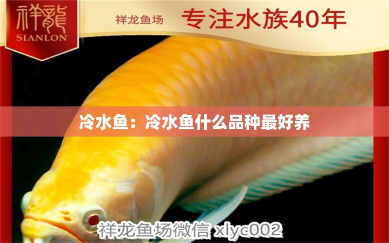 冷水魚：冷水魚什么品種最好養(yǎng) 帝王三間魚