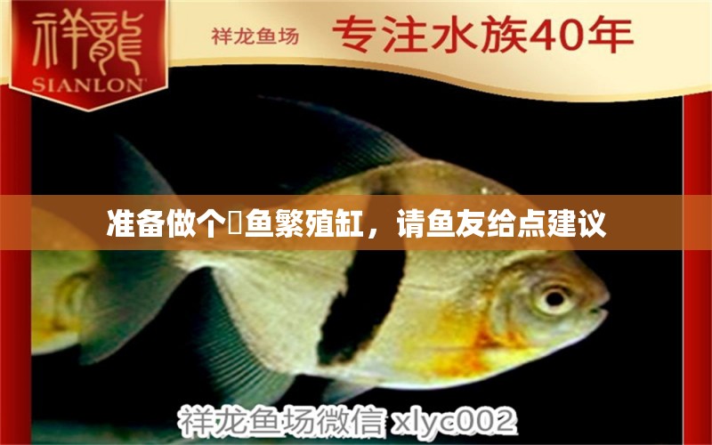 準(zhǔn)備做個(gè)魟魚繁殖缸，請(qǐng)魚友給點(diǎn)建議 觀賞魚論壇 第2張