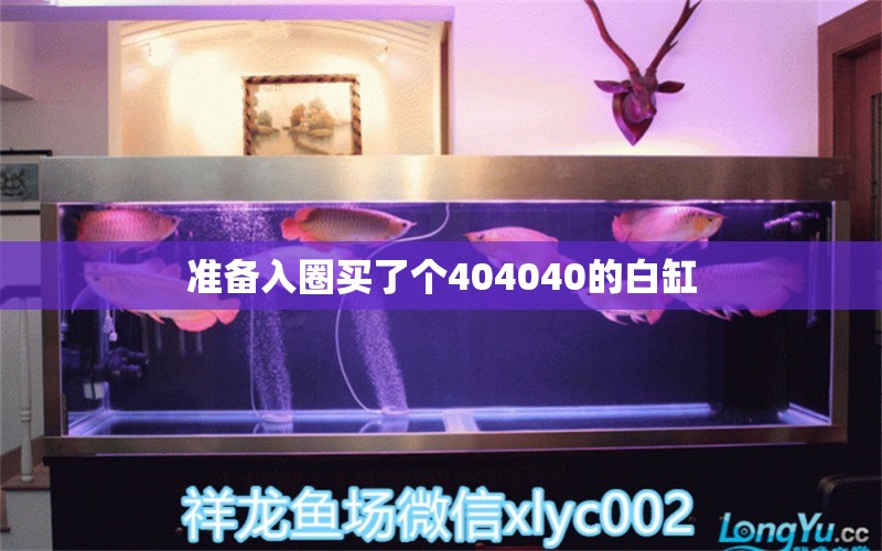 準(zhǔn)備入圈買了個(gè)404040的白缸 虎紋銀版魚(yú)