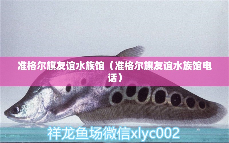 準(zhǔn)格爾旗友誼水族館（準(zhǔn)格爾旗友誼水族館電話）