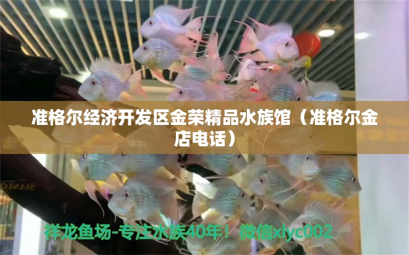 準格爾經(jīng)濟開發(fā)區(qū)金榮精品水族館（準格爾金店電話）