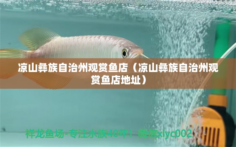 涼山彝族自治州觀賞魚店（涼山彝族自治州觀賞魚店地址）