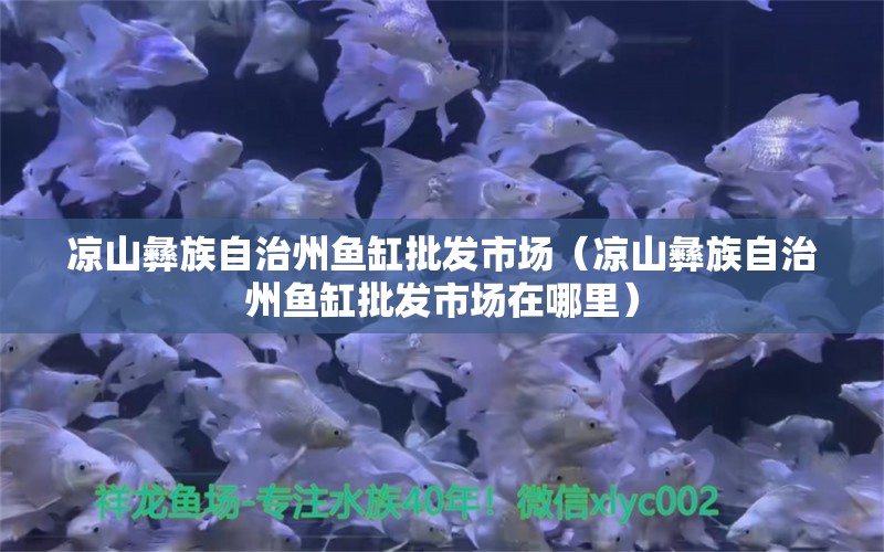 涼山彝族自治州魚缸批發(fā)市場（涼山彝族自治州魚缸批發(fā)市場在哪里）