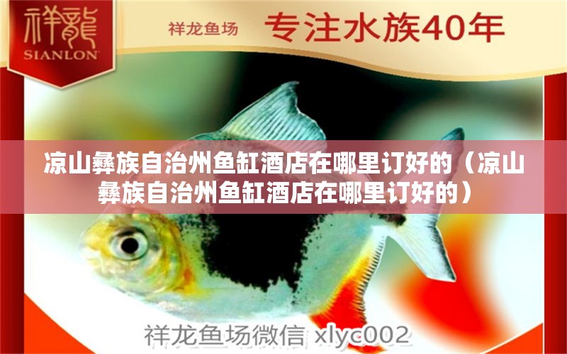 涼山彝族自治州魚缸酒店在哪里訂好的（涼山彝族自治州魚缸酒店在哪里訂好的）