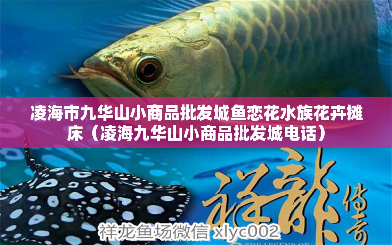 凌海市九華山小商品批發(fā)城魚戀花水族花卉攤床（凌海九華山小商品批發(fā)城電話） 全國水族館企業(yè)名錄