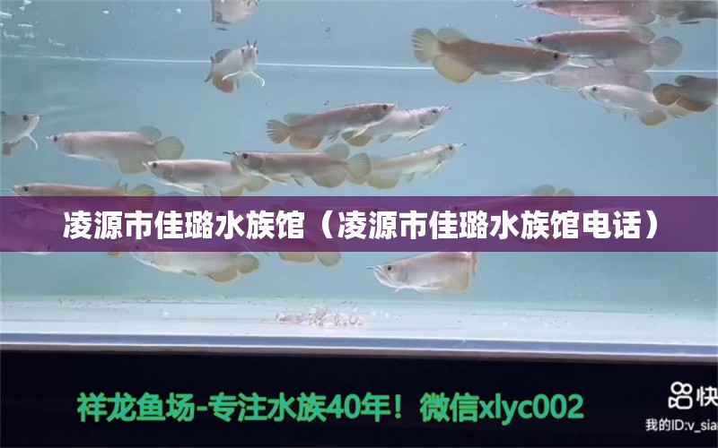 凌源市佳璐水族館（凌源市佳璐水族館電話）