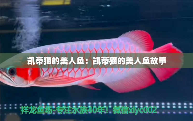 凱蒂貓的美人魚：凱蒂貓的美人魚故事 小型觀賞魚