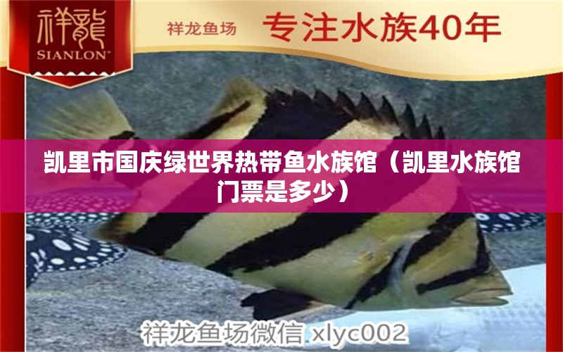 凱里市國慶綠世界熱帶魚水族館（凱里水族館門票是多少） 全國水族館企業(yè)名錄