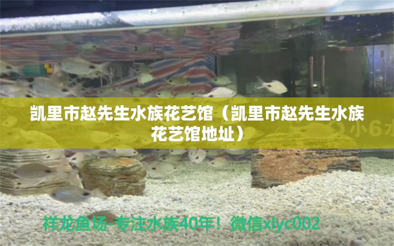 凱里市趙先生水族花藝館（凱里市趙先生水族花藝館地址）