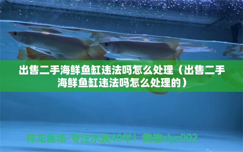 出售二手海鮮魚缸違法嗎怎么處理（出售二手海鮮魚缸違法嗎怎么處理的）