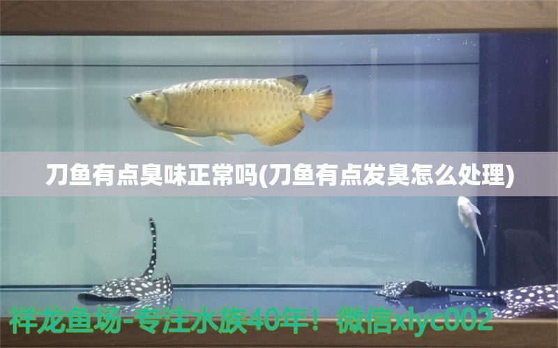 刀魚有點臭味正常嗎(刀魚有點發(fā)臭怎么處理) 水草