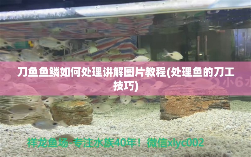 刀魚魚鱗如何處理講解圖片教程(處理魚的刀工技巧) 刀魚魚