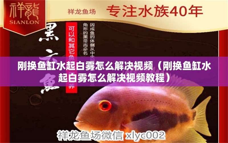 剛換魚(yú)缸水起白霧怎么解決視頻（剛換魚(yú)缸水起白霧怎么解決視頻教程）