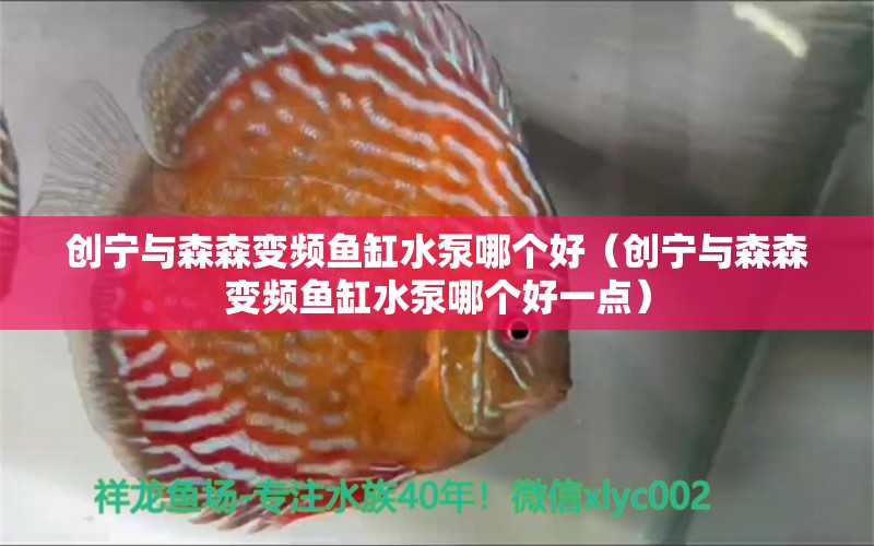 創(chuàng)寧與森森變頻魚缸水泵哪個好（創(chuàng)寧與森森變頻魚缸水泵哪個好一點） 創(chuàng)寧水族