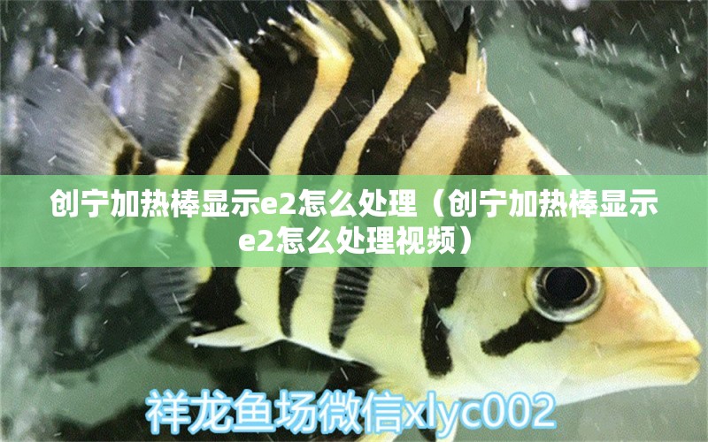 創(chuàng)寧加熱棒顯示e2怎么處理（創(chuàng)寧加熱棒顯示e2怎么處理視頻）